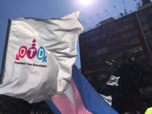 Censo 2017: organización acusa exclusión a personas trans y género no-binario