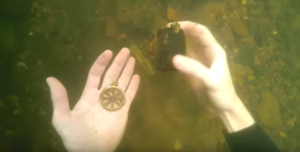 VIDEO | Joven buzo buscaba tesoros en el fondo del agua y se horrorizó con lo que encontró