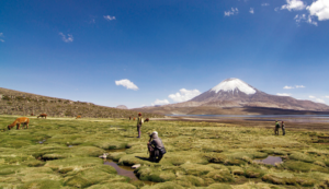 Estas son las diez reservas de la biósfera que se encuentran en Chile