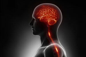 Este sería el inesperado origen del Alzheimer, ahora vinculado a la depresión