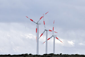 Nuevo Parque Eólico de Magallanes aportará consumo eléctrico para 6 mil hogares