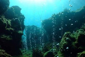 Chile será sede del próximo Congreso de Áreas Marinas Protegidas