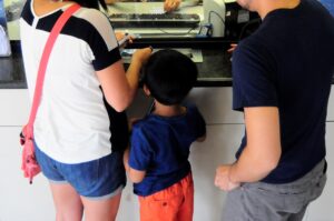 La familia y su papel clave en la educación