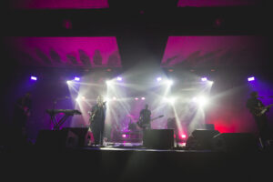 Fauna Otoño: ensoñación musical