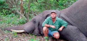 Cazador pierde la vida tras ser aplastado por un elefante tras disparar contra sus crías