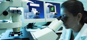 Expertos muestran preocupación por 