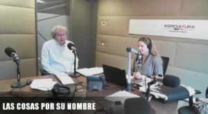 VIDEO | La maldad con la derecha le duró sólo un par de horas a Fernando Villegas
