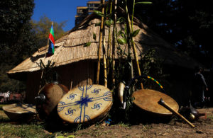 Diferencias de ingresos población indígenas v/s no indígena