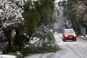 FOTOS | La otra cara de la nevazón en Santiago: 300 árboles caídos, caminos cortados y cortes de luz