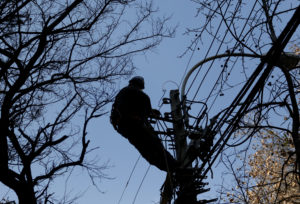 Cómo Enel viola el reglamento eléctrico con la poda árboles