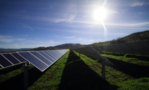 VIDEO | Nueva planta fotovoltaica de Colina abastecerá de energía a 110 mil hogares de la región