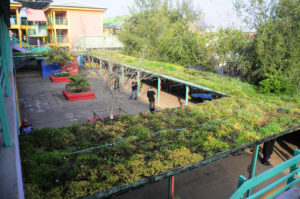 El cambio climático ahora es parte de la malla curricular