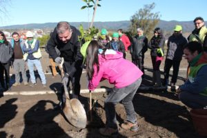 Parque Alessandri de Nacimiento empieza a cobrar vida con plantación comunitaria