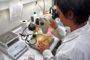 Vicerrector UNAB: “Si no hay cambio en las políticas del país, va a ser difícil salir de la condición que tenemos en investigación