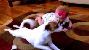 VIDEO | Perro le enseña a gatear a su pequeña dueña