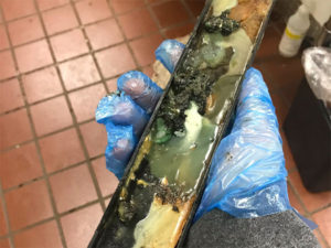 Ex trabajador de McDonald's EE.UU. divulga fotos terribles de su local al ser despedido