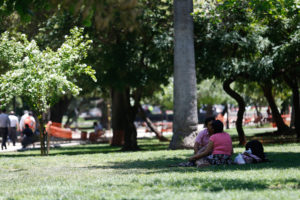 Fundación Santiago anuncia campaña para evitar cierre nocturno del Parque Forestal