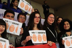 El discurso de Camila Vallejo en el TC que de seguro enfureció a la derecha más dura