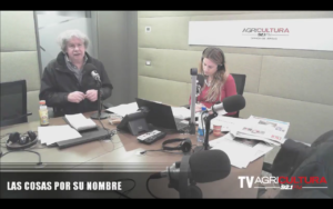 VIDEO | Fernando Villegas cuestionó celebraciones: 