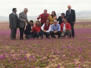 FOTOS | Piñera contraviene la norma y pisa flores del Desierto Florido en actividad de campaña