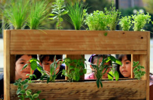 Así funciona el plan de reciclaje para empresas turísticas y gastronómicas de Concón