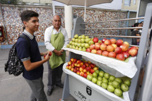 Estudio del Inta revela cómo la alimentación influye en el NEM de la PSU