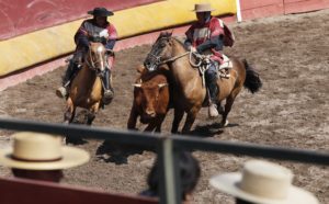 Matthei entrega millonaria cifra a Criadores de Caballos en medio de crisis financiera de Providencia