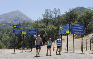 Se disfraza una devastación ambiental sobre la cota 1.000 en el cerro Lo Curro