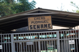 Carabineros destapa impresentable negligencia luego de encontrar a menor del Sename en vías del Metro