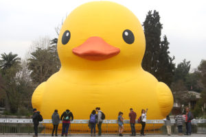 FOTOS l El famoso “Pato de Hule” ya está en aguas chilenas