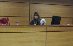 Poder Judicial cuestiona a jueza que lideró audiencia acompañada de su poodle