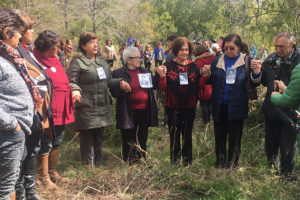 Familiares de DD.DD. llegan hasta Colonia Dignidad por fosa revelada por testigo
