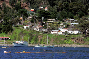 Fisco deberá pagar $ 300 millones a familia de víctima de tsunami en Isla Juan Fernández