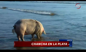 El 70% de Chile cree que los canales 