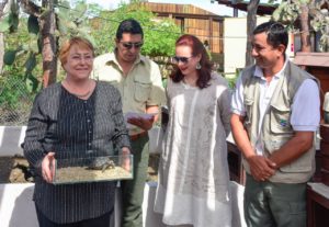 Bachelet se convierte en madrina de tortuga gigante en Galápagos y la bautiza 