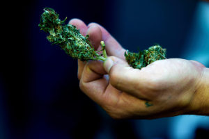 Masculinidad/es, espermios y marihuana