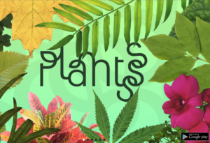 Aplicación chilena Plantsss desembarca en Europa junto al Jardín Botánico de Barcelona