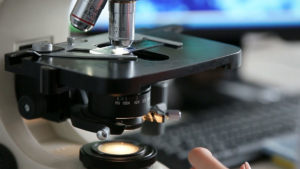 Futuros Científicos para Chile: el evento para que escolares del país potencien sus proyectos de investigación