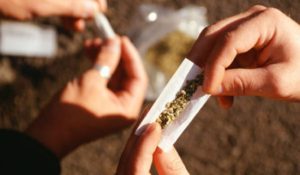 Luchando contra las drogas