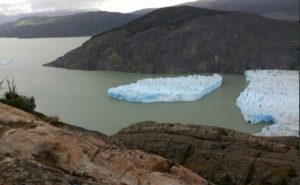 Instituto Antártico Chileno monitorea gran desprendimiento de masa de hielo del Glaciar Grey