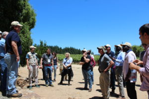Incendios forestales: CMPC detalla su plan de acción ante expertos internacionales