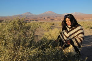 De hierbas culinarias a vinos: los emprendimientos que surgen de la comunidad Atacameña