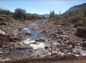 2017: Dos hitos para celebrar o llorar...