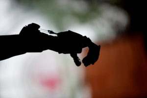 Revista Nature destaca modelo de científicos chilenos para proyectar el futuro de la humanidad