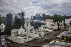 VIDEO | Desconocidos queman centenarios cipreses de cementerio municipal de Punta Arenas
