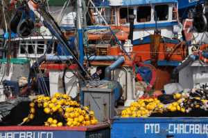 Pescadores por designación de Jorge Ulloa en el Biobío: 