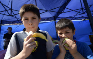 La advertencia de la FAO a Chile: debemos temerle más a la obesidad que al crimen organizado