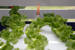 Usach destinará $400 millones para acelerar emprendimientos científicos y tecnológicos