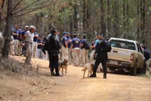 Carabineros amplía operativo a nivel nacional por menor desaparecida en Licantén