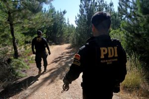 Experta de Carabineros y presunto secuestrador de Emmelyn: 